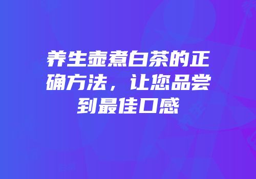 养生壶煮白茶的正确方法，让您品尝到最佳口感