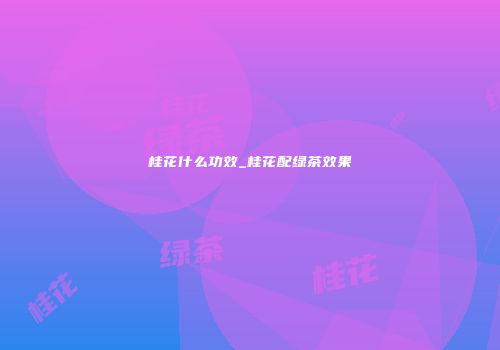 桂花什么功效_桂花配绿茶效果