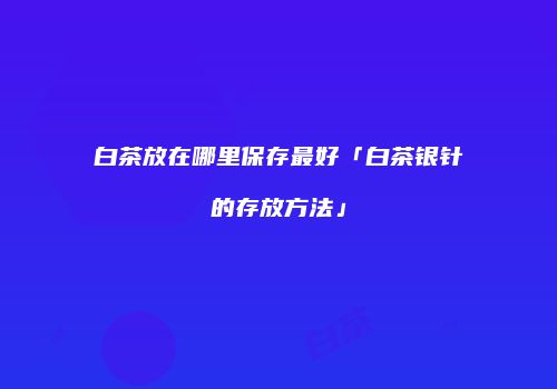 白茶放在哪里保存最好「白茶银针的存放方法」