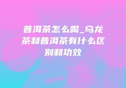 普洱茶怎么喝_乌龙茶和普洱茶有什么区别和功效