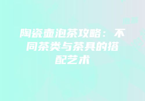 陶瓷壶泡茶攻略：不同茶类与茶具的搭配艺术