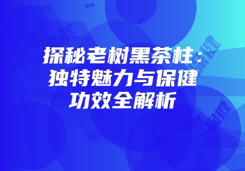 探秘老树黑茶柱：独特魅力与保健功效全解析