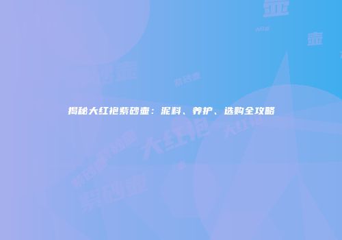揭秘大红袍紫砂壶：泥料、养护、选购全攻略