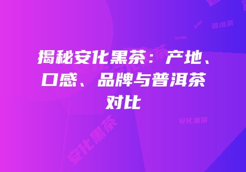 揭秘安化黑茶：产地、口感、品牌与普洱茶对比