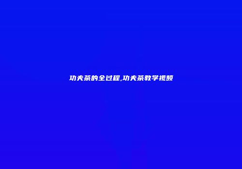 功夫茶的全过程,功夫茶教学视频