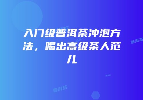 入门级普洱茶冲泡方法，喝出高级茶人范儿