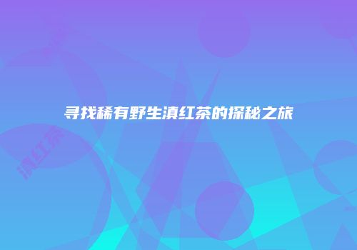 寻找稀有野生滇红茶的探秘之旅