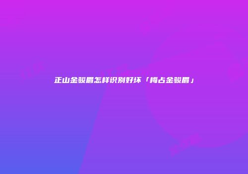 正山金骏眉怎样识别好坏「梅占金骏眉」