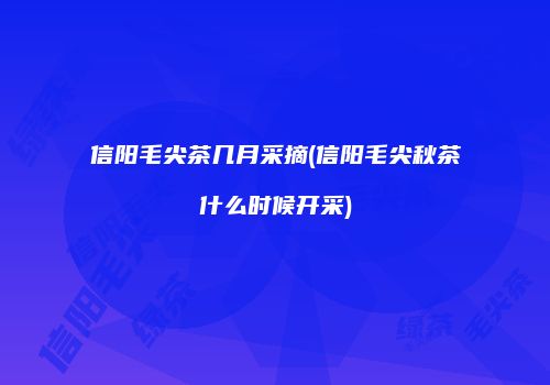 信阳毛尖茶几月采摘(信阳毛尖秋茶什么时候开采)