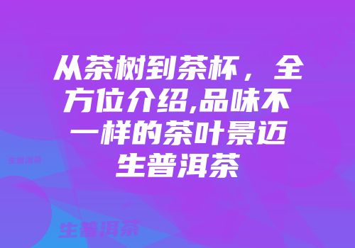 从茶树到茶杯，全方位介绍,品味不一样的茶叶景迈生普洱茶