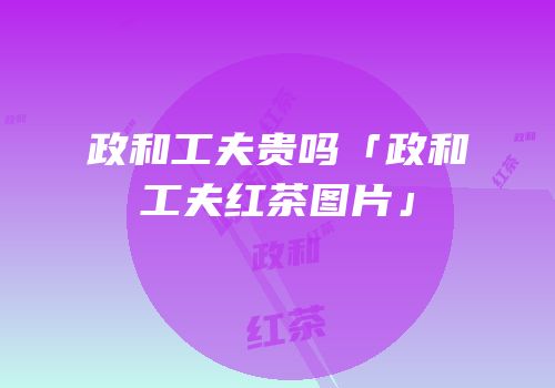 政和工夫贵吗「政和工夫红茶图片」