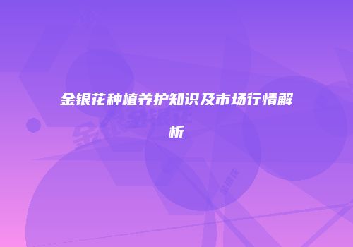 金银花种植养护知识及市场行情解析