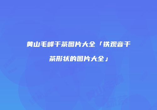 黄山毛峰干茶图片大全「铁观音干茶形状的图片大全」