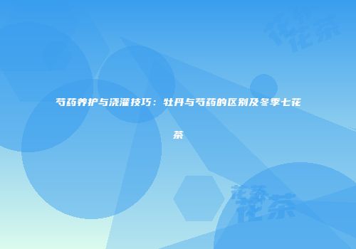 芍药养护与浇灌技巧：牡丹与芍药的区别及冬季七花茶