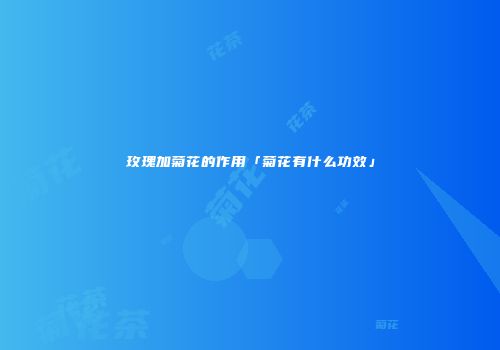 玫瑰加菊花的作用「菊花有什么功效」