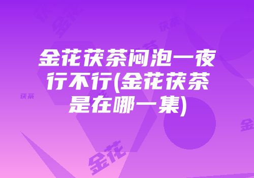 金花茯茶闷泡一夜行不行(金花茯茶是在哪一集)