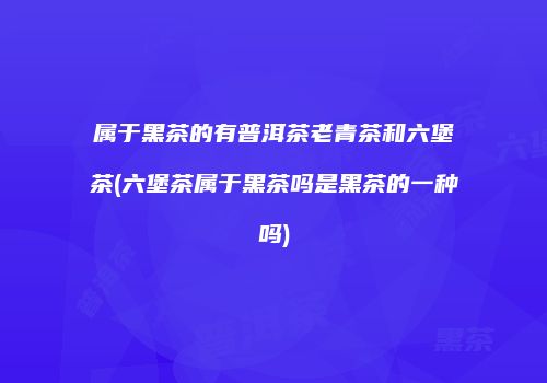 属于黑茶的有普洱茶老青茶和六堡茶(六堡茶属于黑茶吗是黑茶的一种吗)