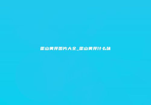 霍山黄芽图片大全_霍山黄芽什么味
