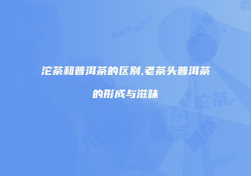 沱茶和普洱茶的区别,老茶头普洱茶的形成与滋味