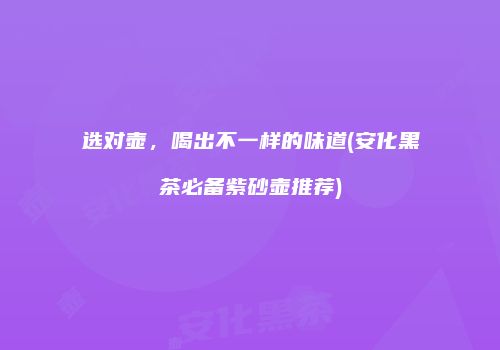 选对壶，喝出不一样的味道(安化黑茶必备紫砂壶推荐)