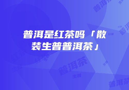 普洱是红茶吗「散装生普普洱茶」