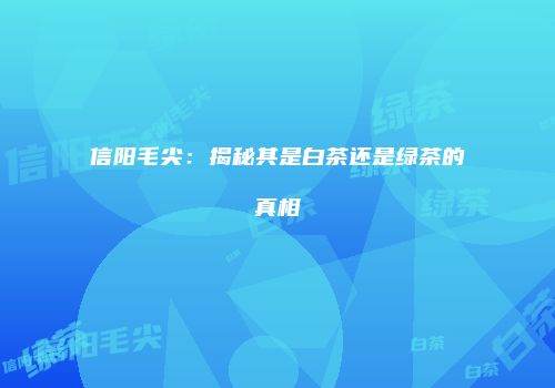 信阳毛尖：揭秘其是白茶还是绿茶的真相