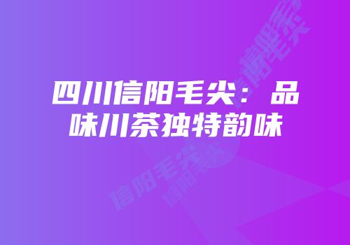 四川信阳毛尖：品味川茶独特韵味