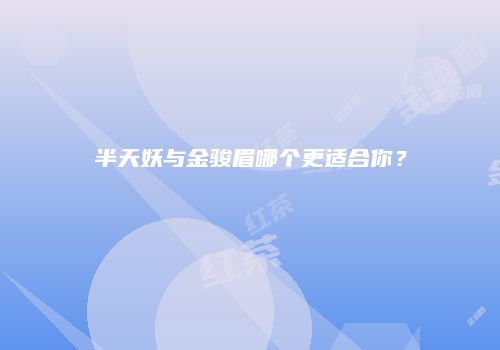 半天妖与金骏眉哪个更适合你？