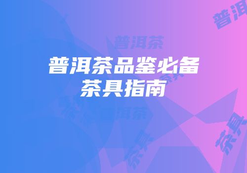 普洱茶品鉴必备茶具指南