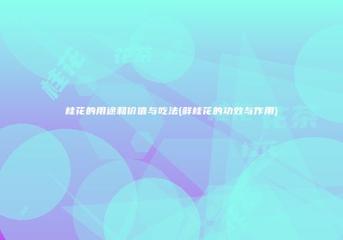 桂花的用途和价值与吃法(鲜桂花的功效与作用)