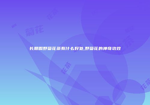长期喝野菊花茶有什么好处,野菊花的神奇功效