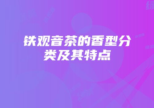 铁观音茶的香型分类及其特点