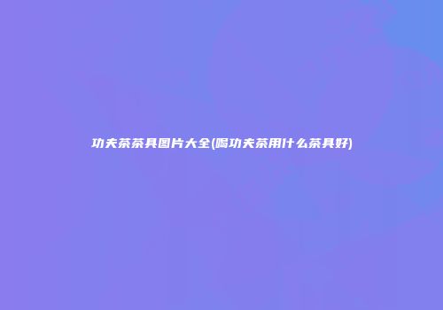 功夫茶茶具图片大全(喝功夫茶用什么茶具好)