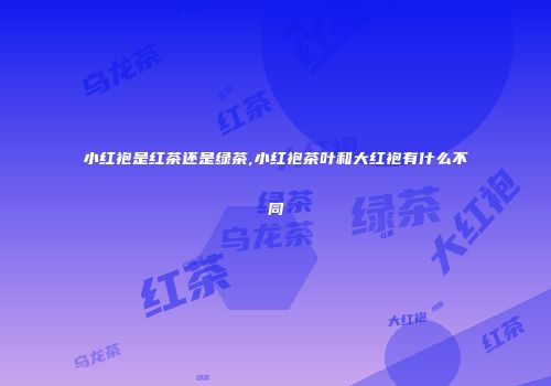 小红袍是红茶还是绿茶,小红袍茶叶和大红袍有什么不同