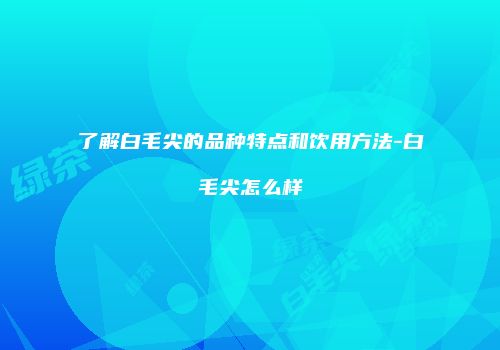 了解白毛尖的品种特点和饮用方法-白毛尖怎么样