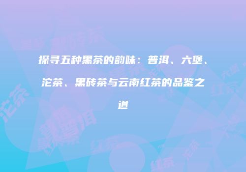 探寻五种黑茶的韵味：普洱、六堡、沱茶、黑砖茶与云南红茶的品鉴之道