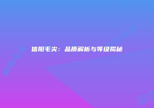 信阳毛尖：品质解析与等级揭秘
