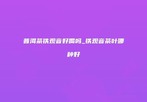 普洱茶铁观音好喝吗_铁观音茶叶哪种好