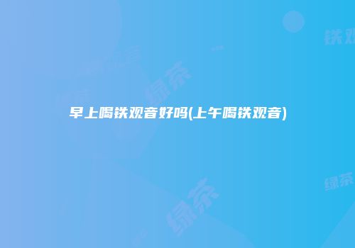 早上喝铁观音好吗(上午喝铁观音)