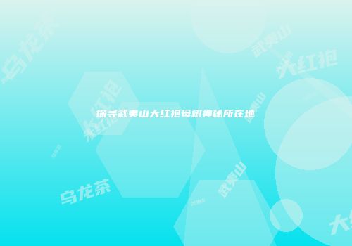 探寻武夷山大红袍母树神秘所在地