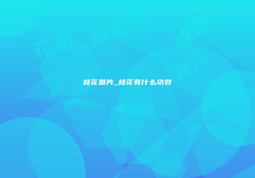 桂花图片_桂花有什么功效