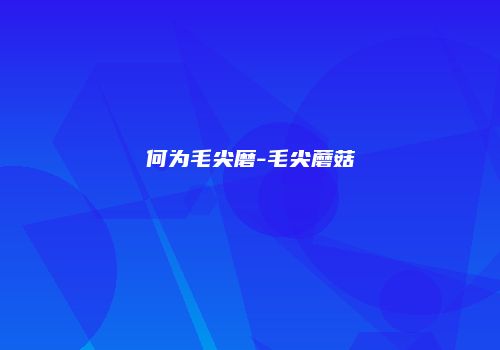 何为毛尖磨-毛尖蘑菇