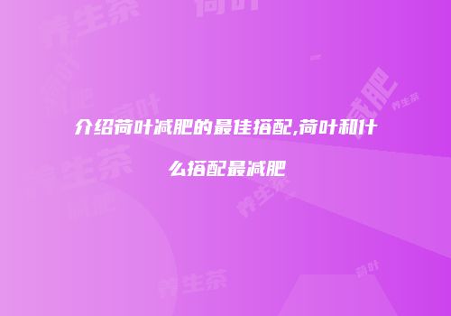 介绍荷叶减肥的最佳搭配,荷叶和什么搭配最减肥