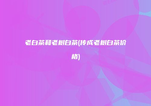 老白茶和老树白茶(传成老树白茶价格)