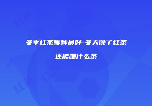 冬季红茶哪种最好-冬天除了红茶还能喝什么茶