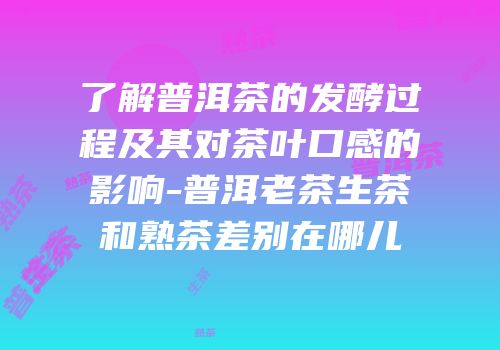 了解普洱茶的发酵过程及其对茶叶口感的影响-普洱老茶生茶和熟茶差别在哪儿