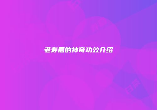 老寿眉的神奇功效介绍