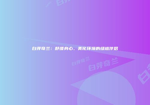 白芽奇兰：舒缓身心、美化环境的绿植伴侣