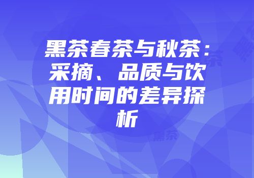 黑茶春茶与秋茶：采摘、品质与饮用时间的差异探析