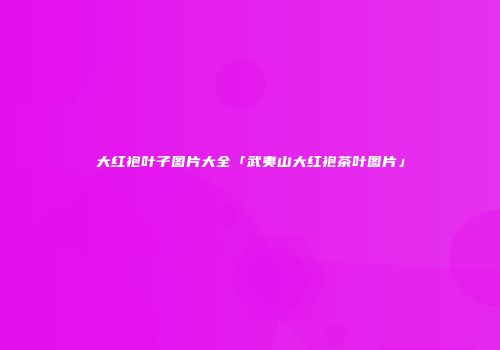 大红袍叶子图片大全「武夷山大红袍茶叶图片」